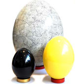 Moisie dekorations�gg