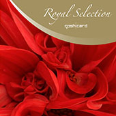 GoshCard Royal