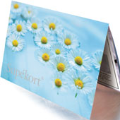 Sup�kort Summer