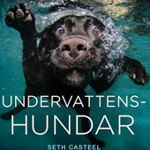 Undervattenshundar