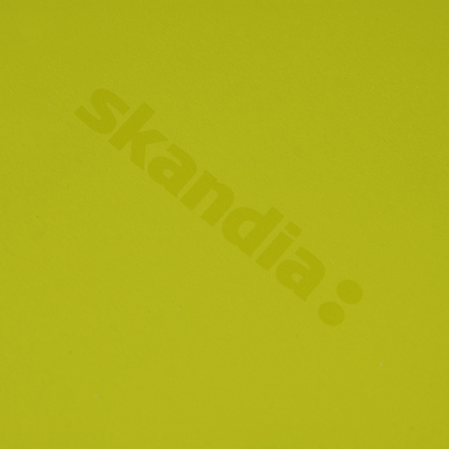 skandia whitelines closeup logo