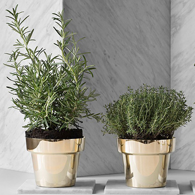Herbs pot 790h miljo