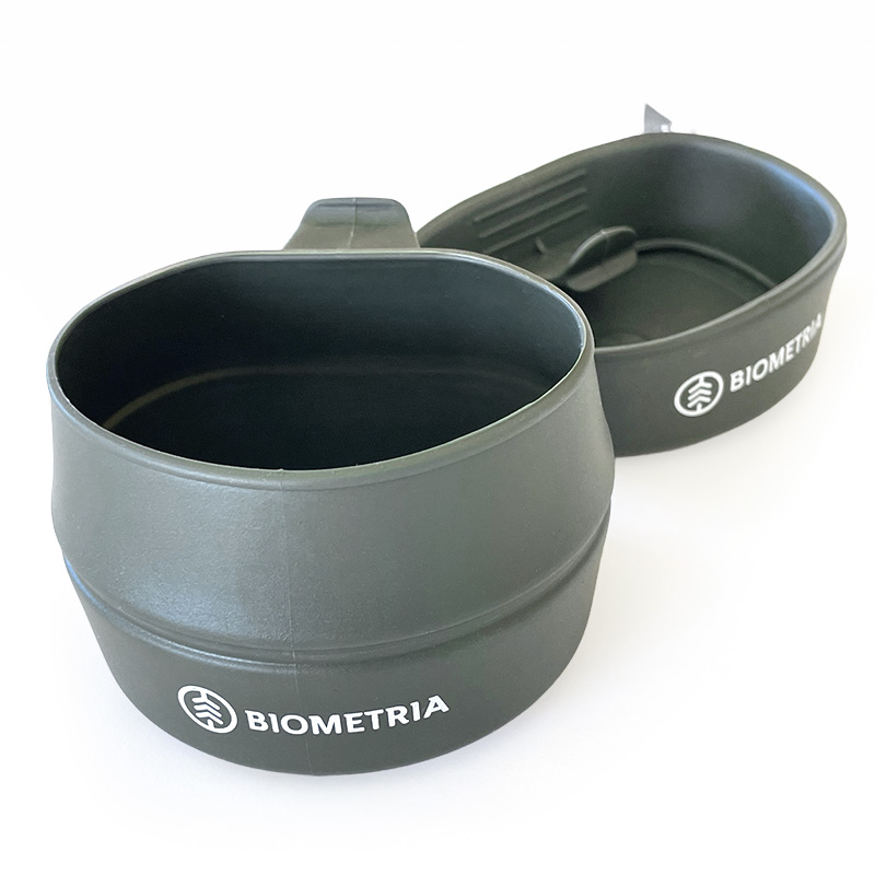 Vik kasa biometria