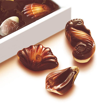 belgisk choklad sea shells 1