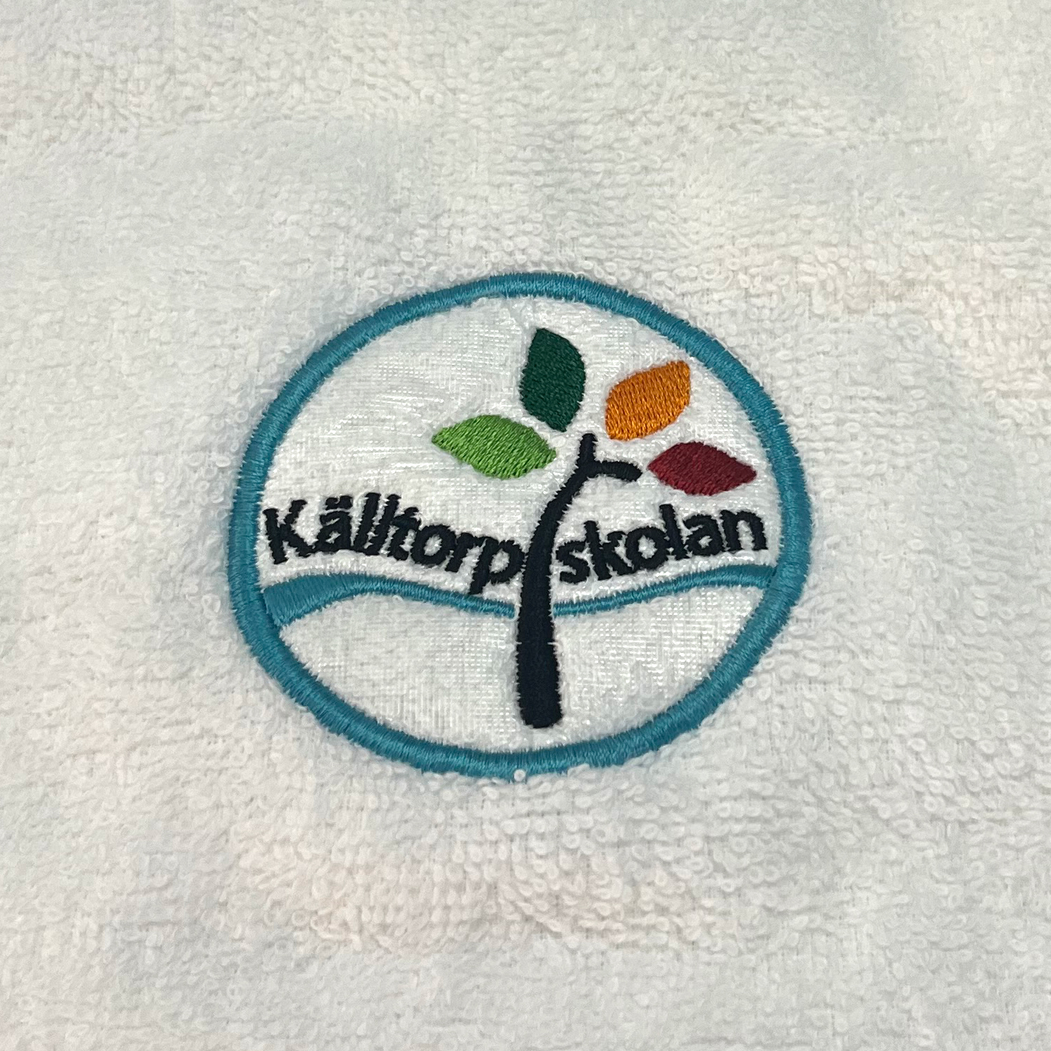 brodyr kalltorpskolan badlakan