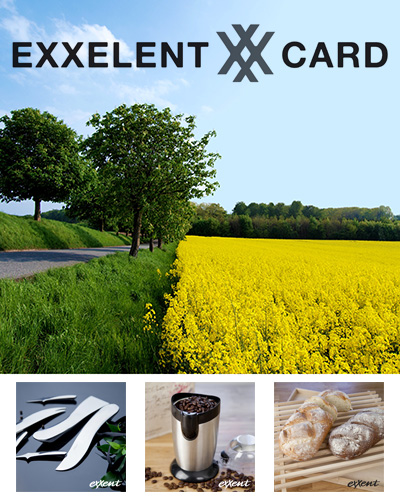 exxcelentcard 1