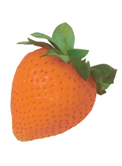 Art4m jordgubbe